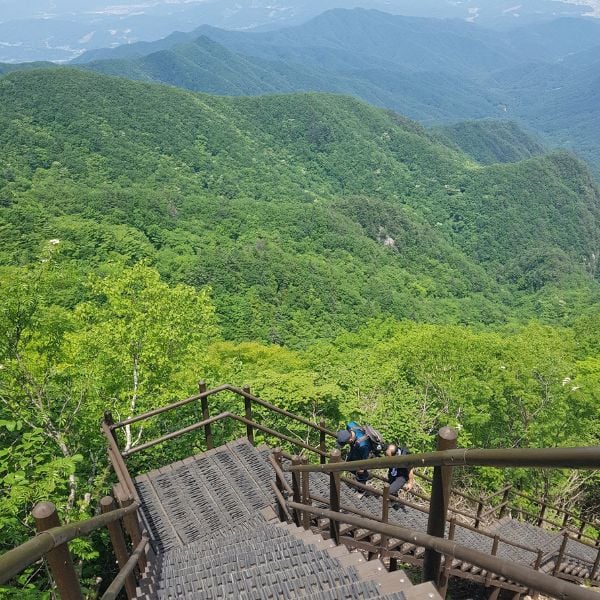 10 Best National Parks In Korea To Visit For Beautiful Views 26 Steep steps and green valleys below